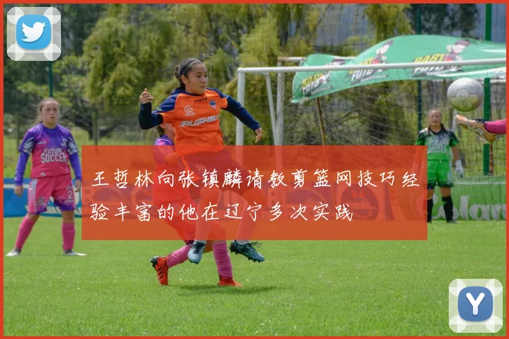王哲林向张镇麟请教剪篮网技巧经验丰富的他在辽宁多次实践
